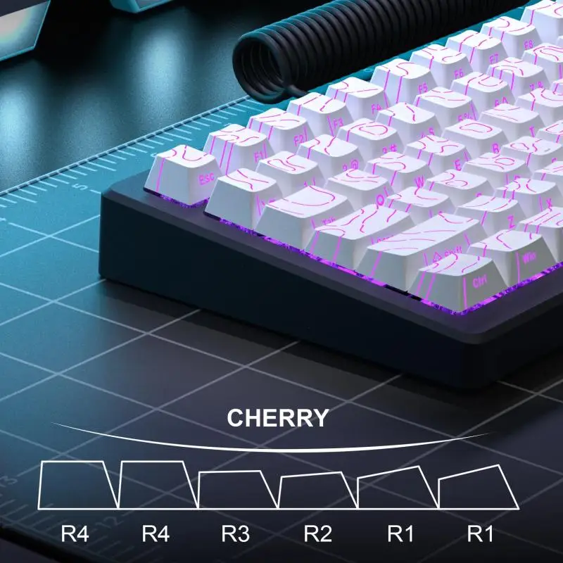 2026 Topographic Keycaps 4.0 V - Gaming Keyboard 2026 评论和价格